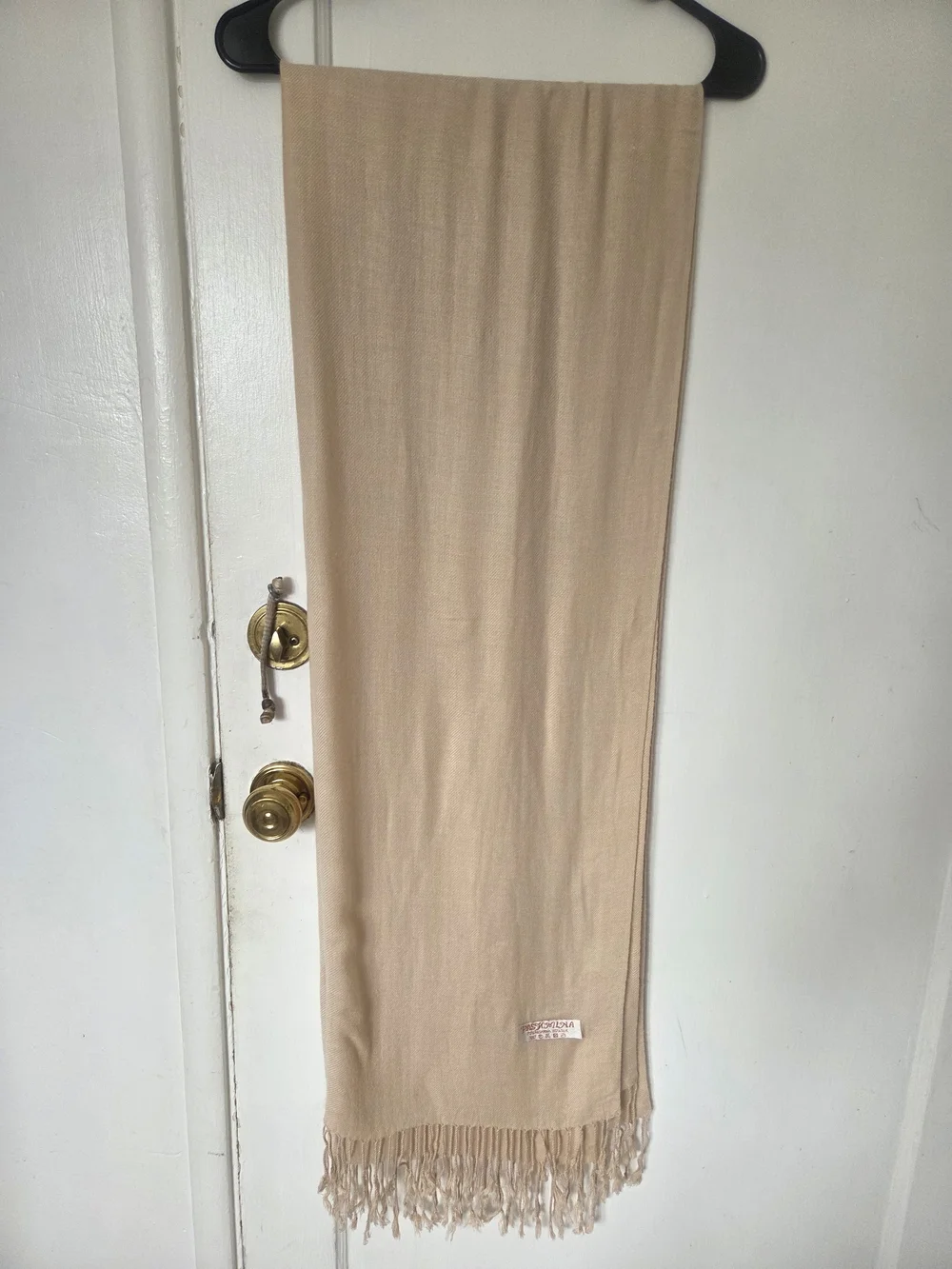 Neutral Beige Nude Fringe Pashmina Silk Scarf